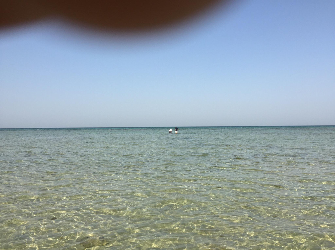 Uqair Beach-Al Hofuf必去景点