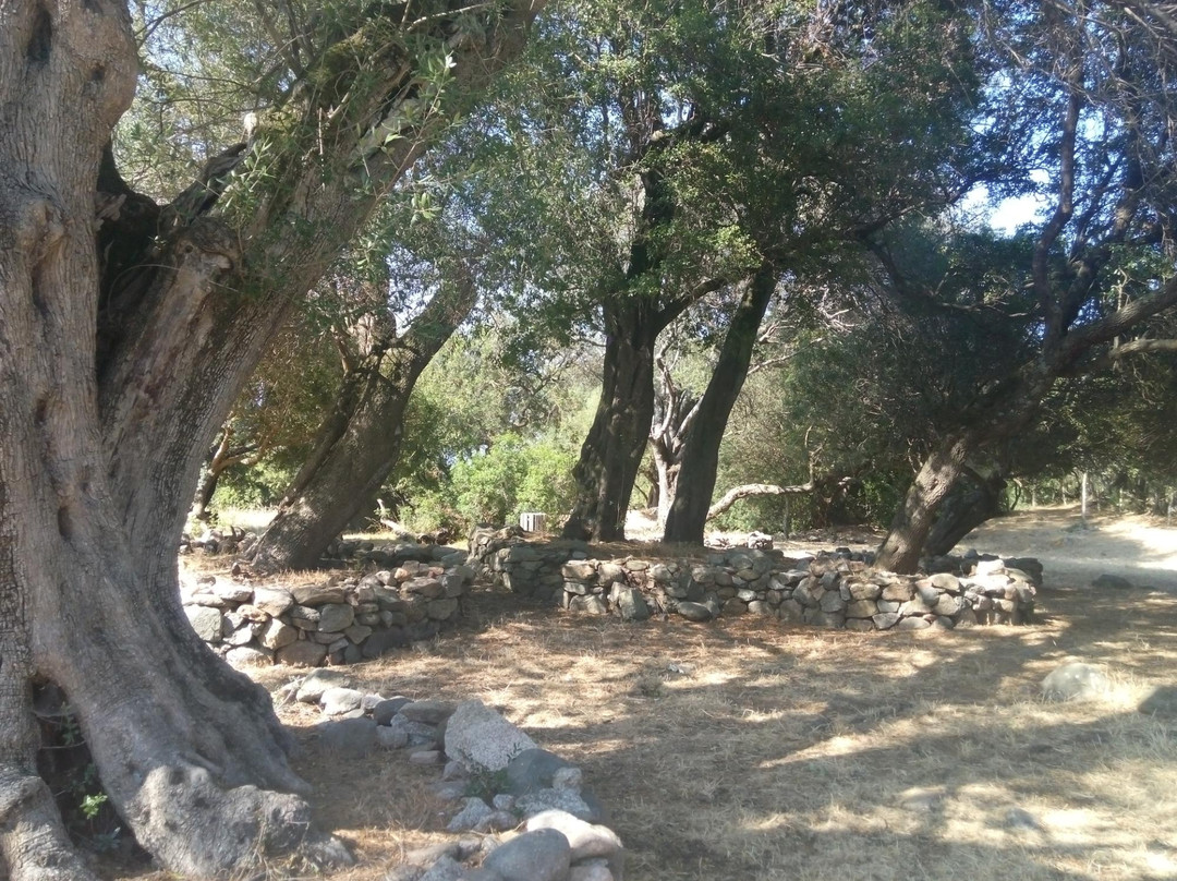 Castello di Baldu-Luogosanto必去景点