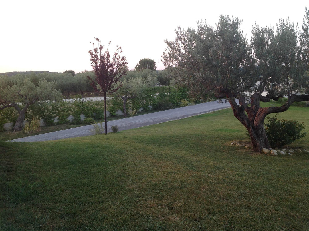 B&B Gioia In Collina主图