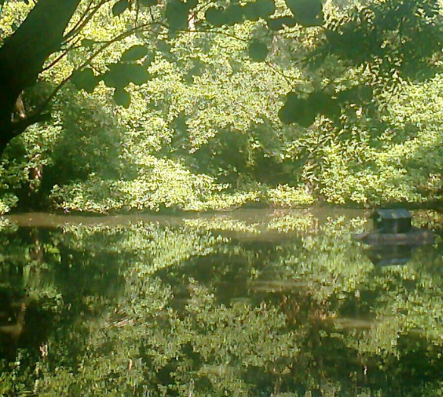 St Helens Park景点图片