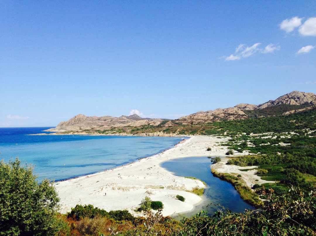 Plage de l'Ostriconi-Palasca必去景点