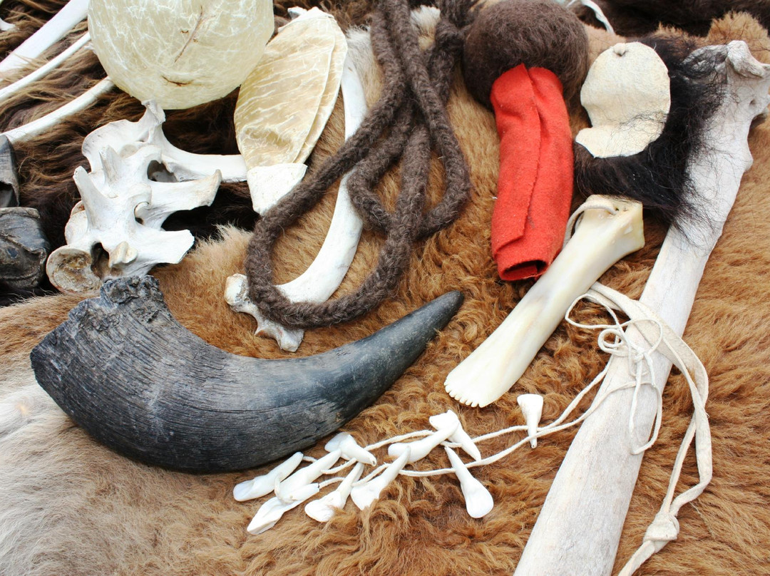 Peter Norbeck Outdoor Education Center-卡斯特必去景点