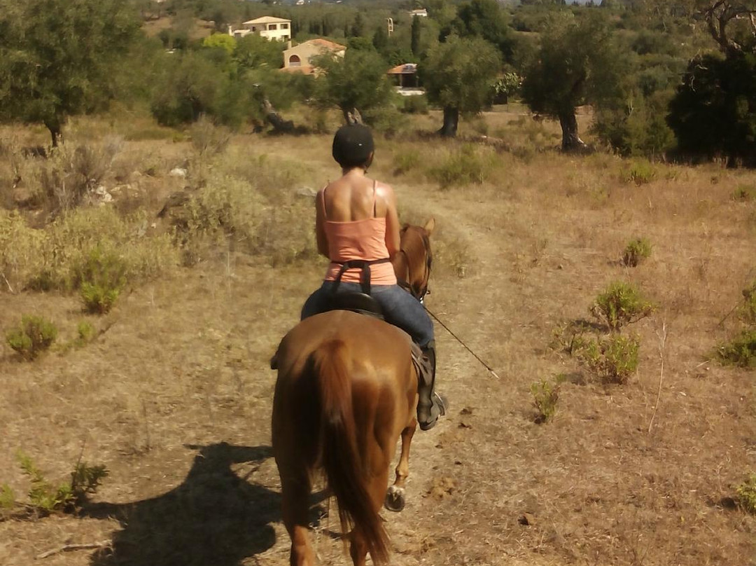 Horse Riding Kourkoumeli-科孚必去景点