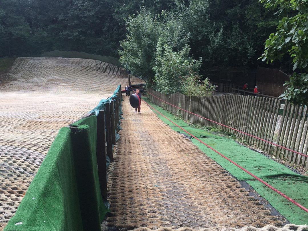 Brentwood Park Ski & Snowboard Centre景点图片