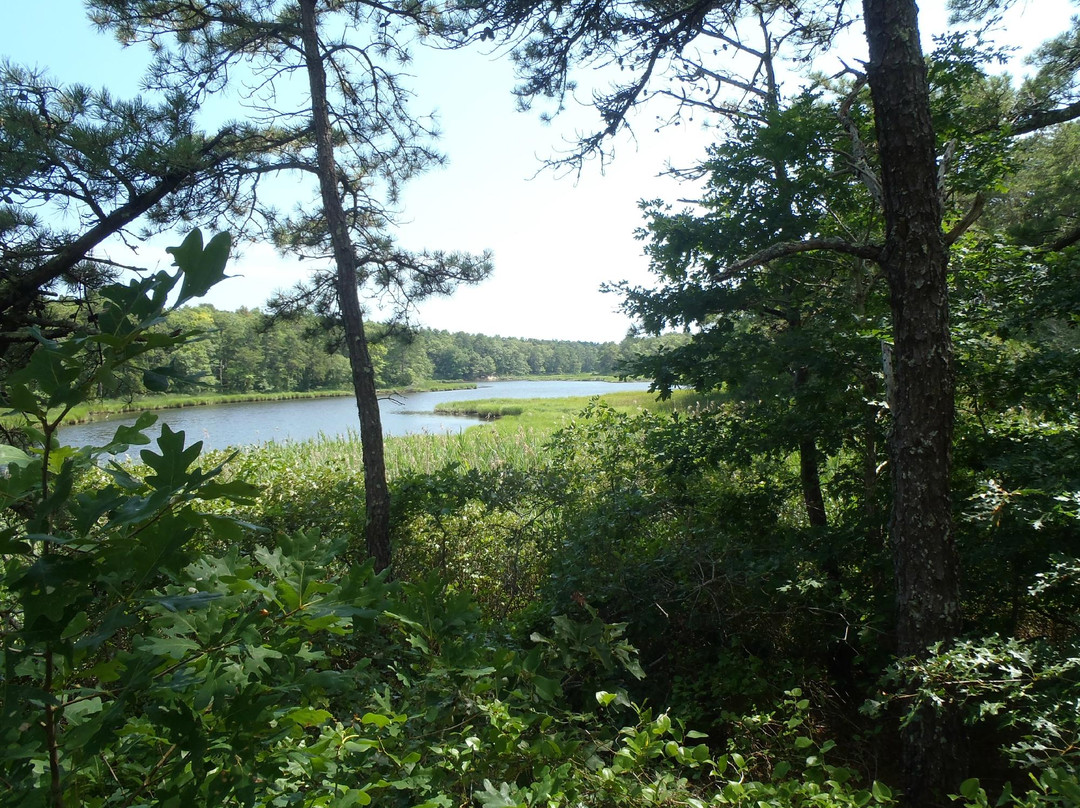 Mashpee River Reservation景点图片
