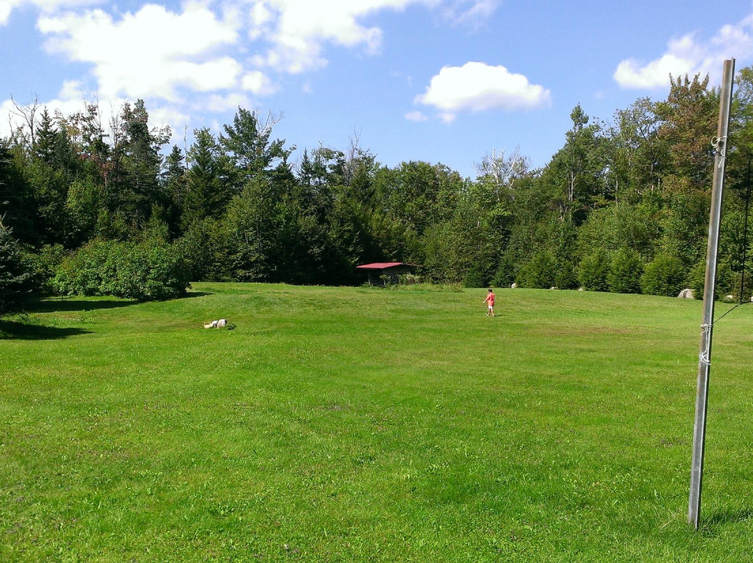 Seven Dwarfs Motel & Lodge主图