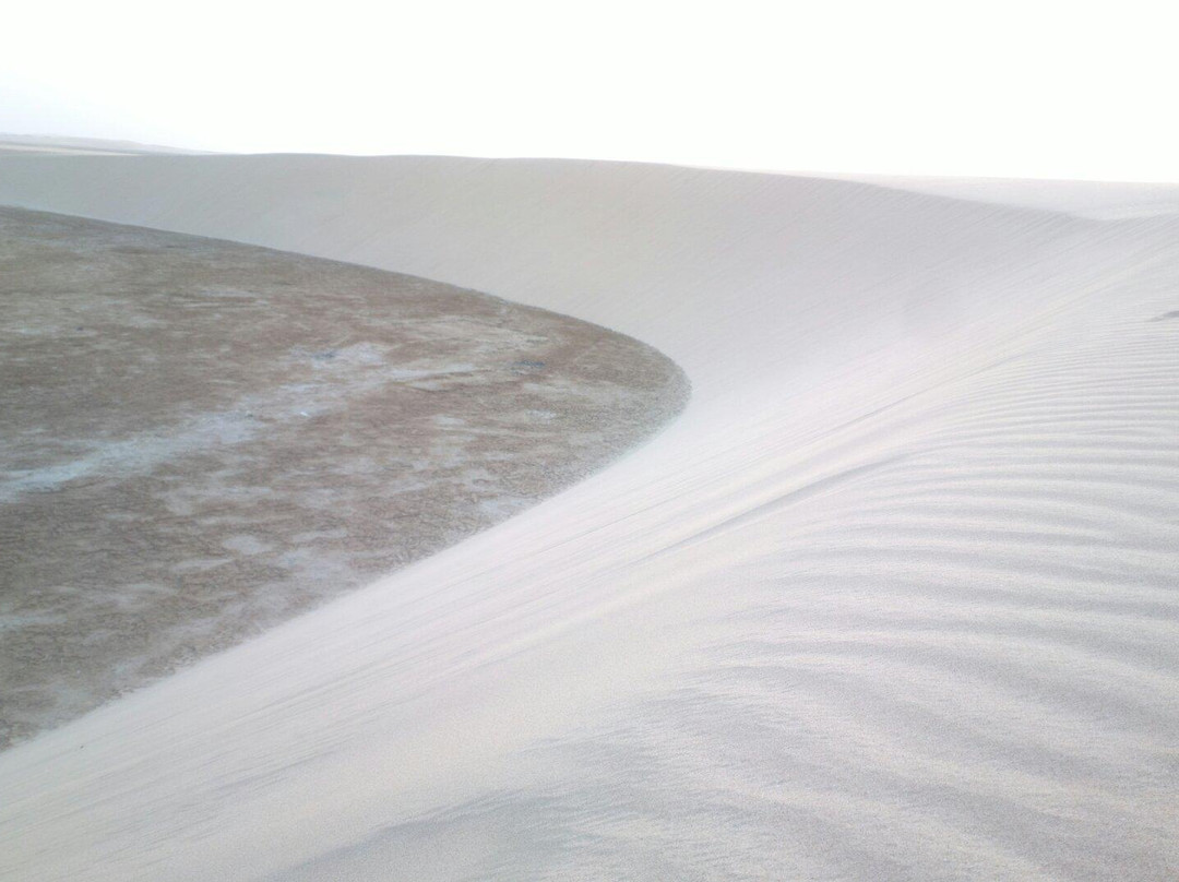Sealine Beach-Mesaieed必去景点