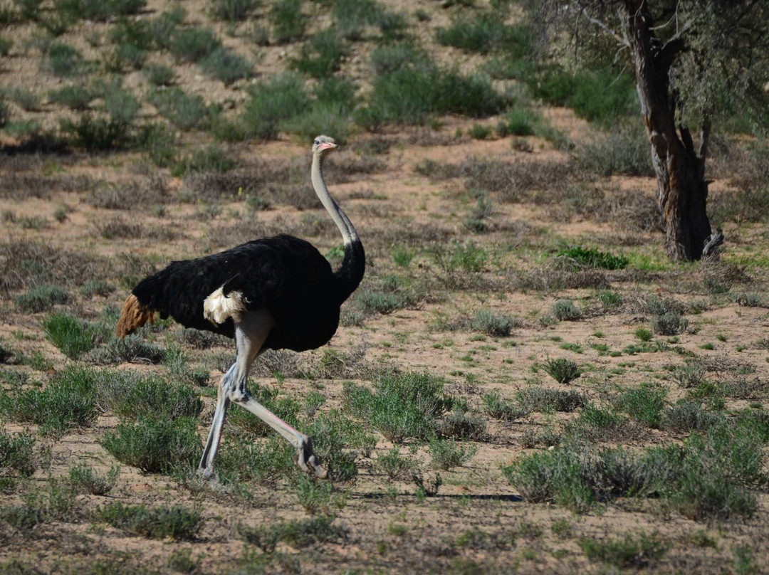 卡拉嘎地跨界公园-阿平顿必去景点