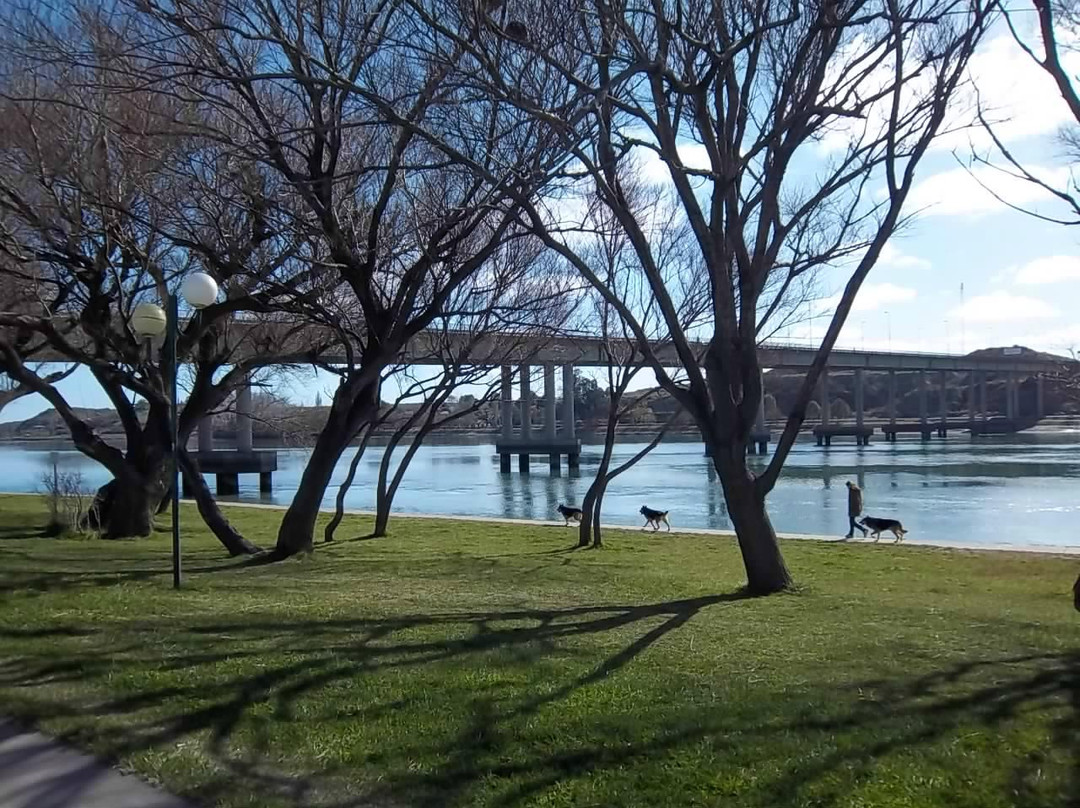 Destino Viedma-Viedma必去景点