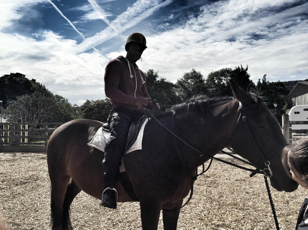Bewerley Riding Centre景点图片