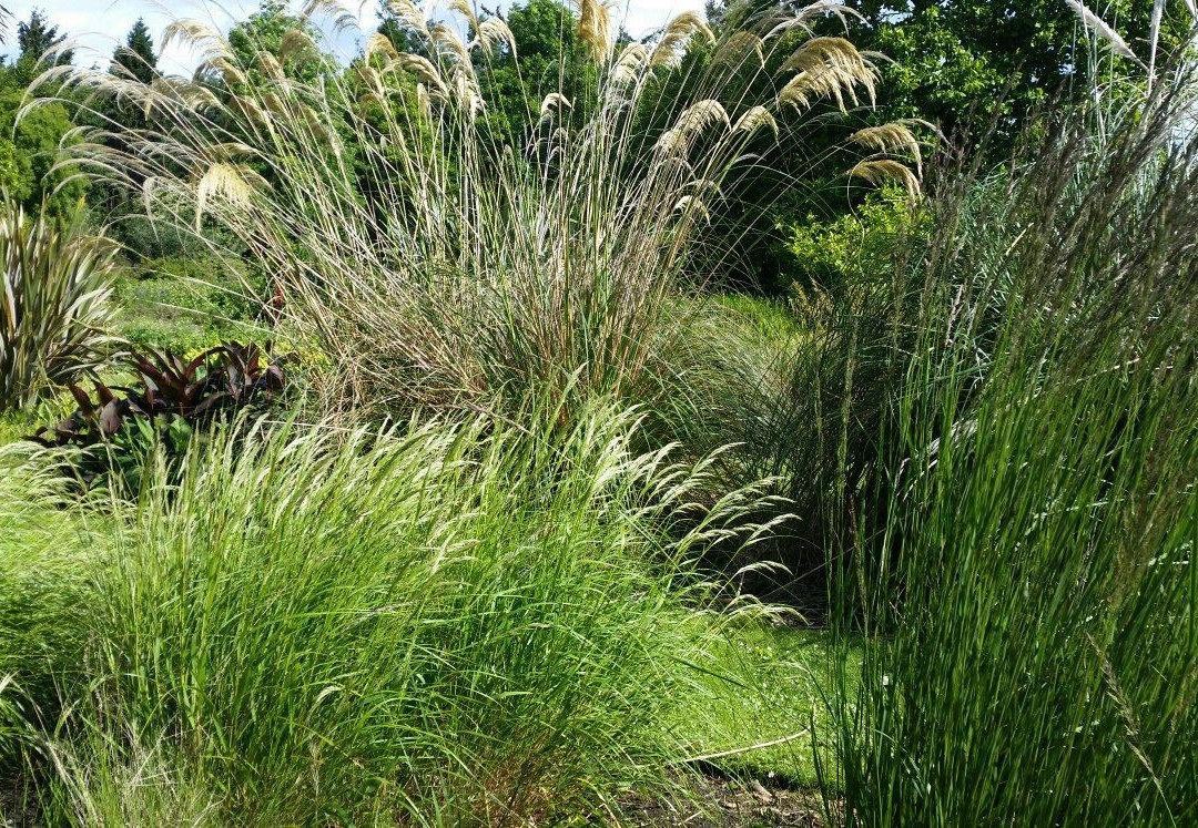St Andrews Botanic Garden-圣安德鲁斯必去景点