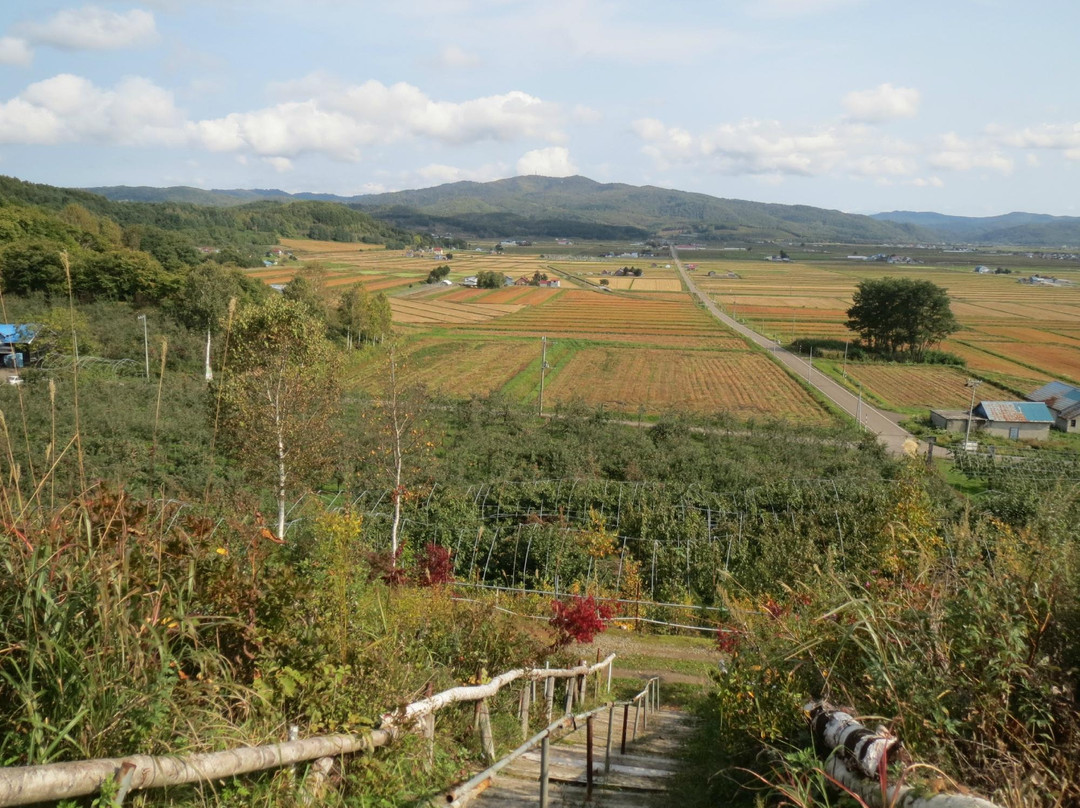 Miharashi Ogihara Fruit Garden-深川市必去景点