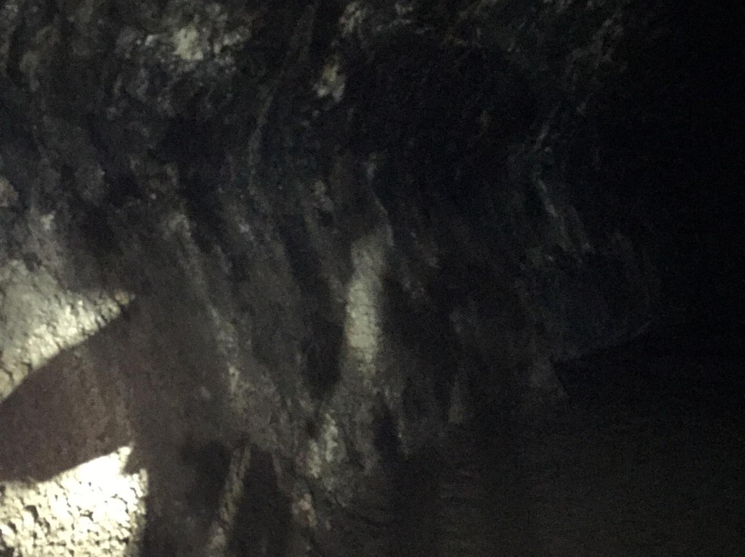 Lava River Cave-本德必去景点