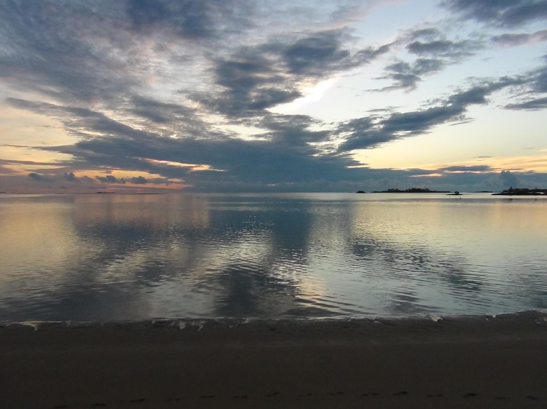 Forfar Field Station-Andros必去景点