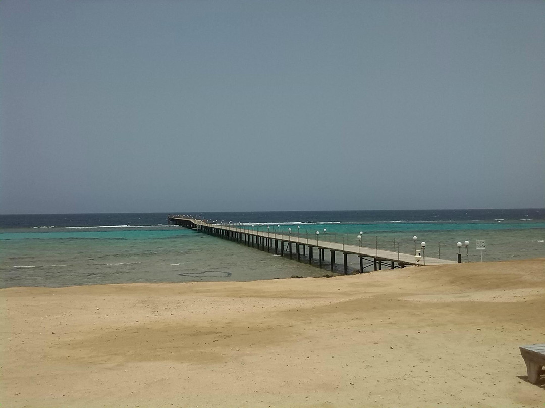 Berenice Troglodytica-Hamata and Berenice必去景点