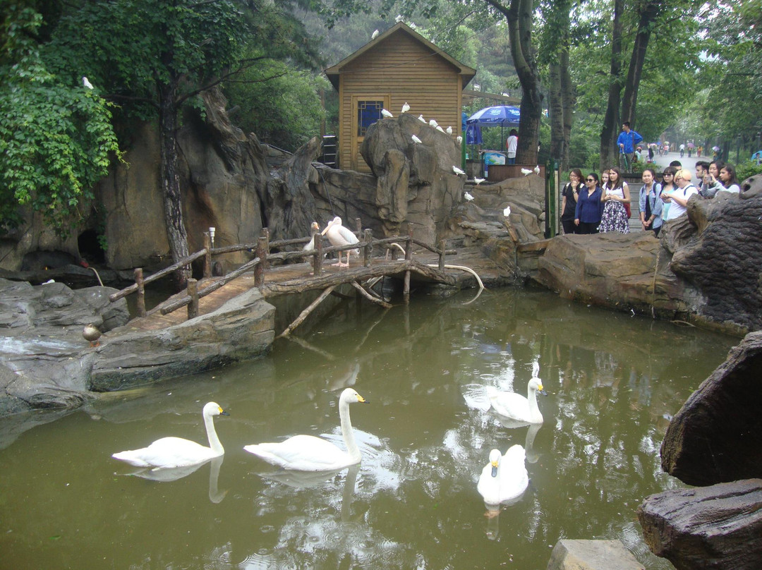燕塞湖-秦皇岛市必去景点