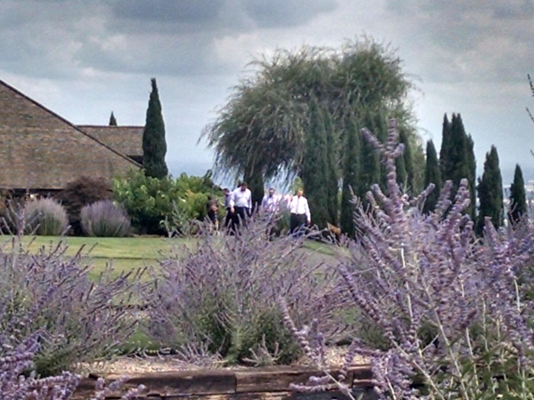 White Rose Estate Winery And Vineyard-Dayton必去景点