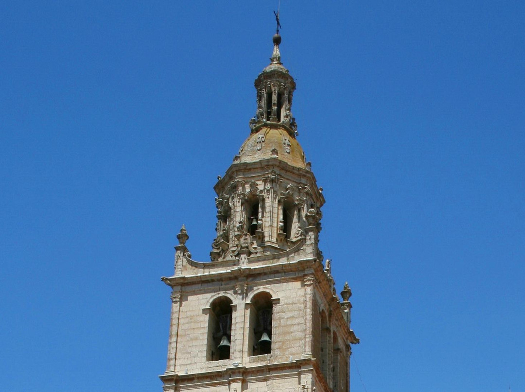 Medina de Rioseco旅游攻略图片