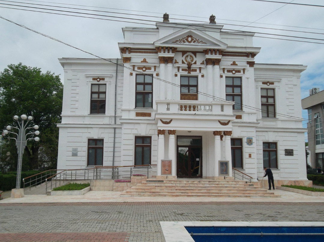 Municipal Museum Calarasi景点图片