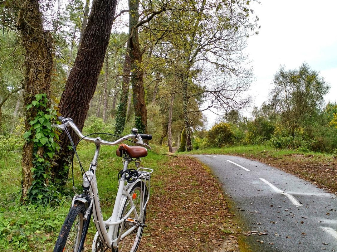 Cyclescapade-Labenne必去景点