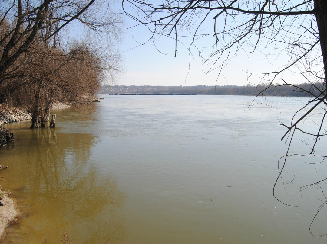 Regional Park Gornje Podunavlje景点图片