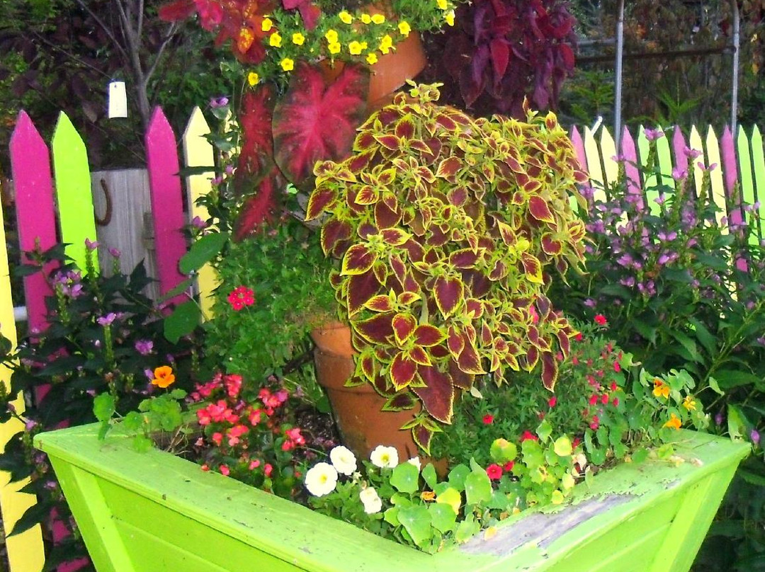 Grandfather Mountain Nursery Garden Center景点图片