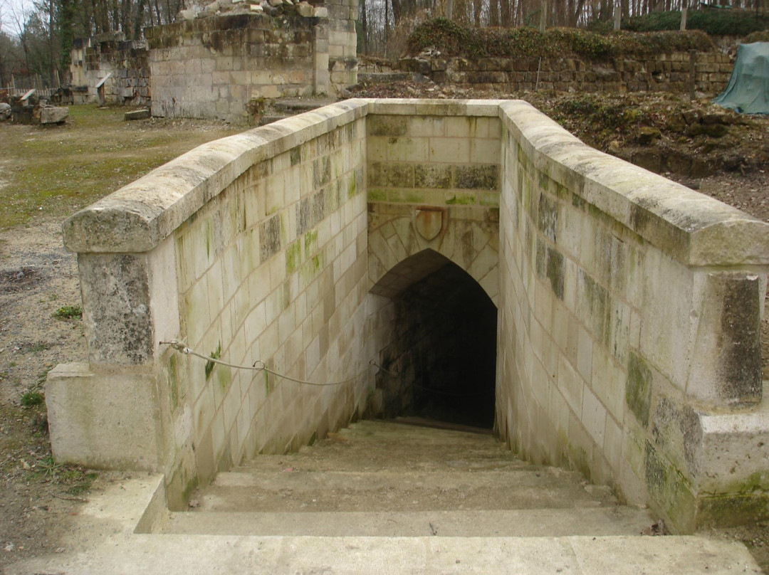 Chevalerie de Sace - Archaeological Site & Botanical Gardens景点图片