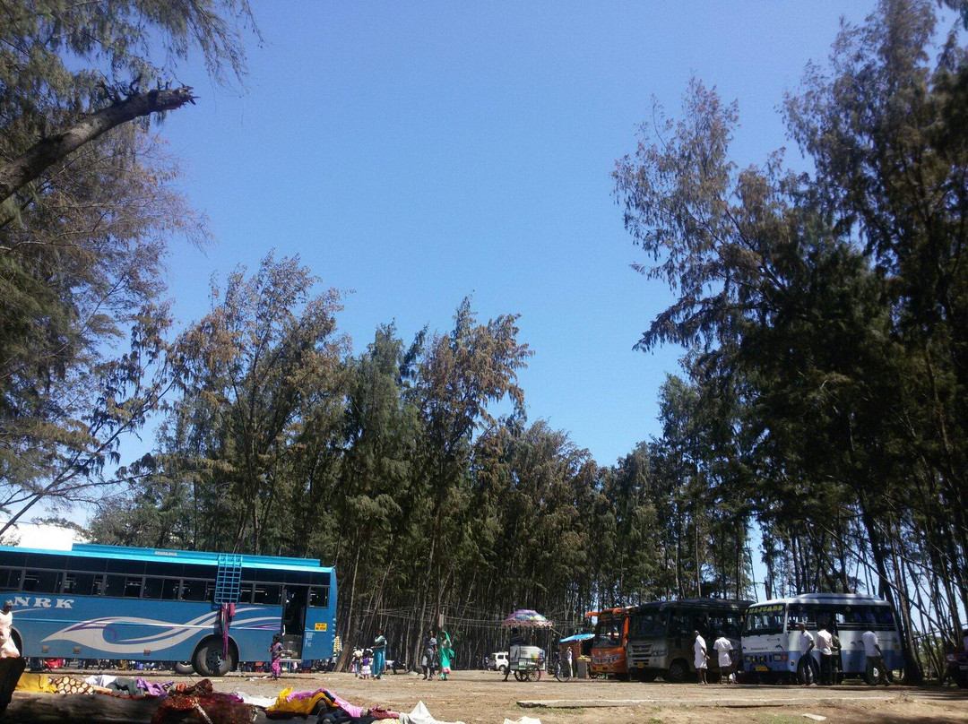 Ariyaman Beach景点图片