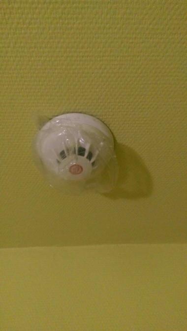 Hotel Lucy Star-客卧