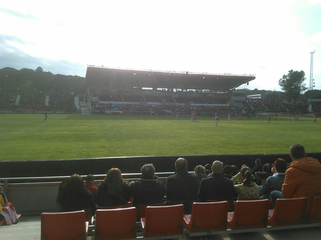 Estadi Montilivi景点图片