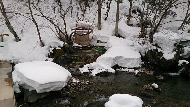 二岐温泉 柏屋旅馆-客卧