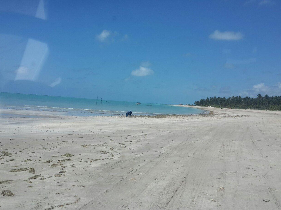 Costeira Executive Tur-Maragogi必去景点