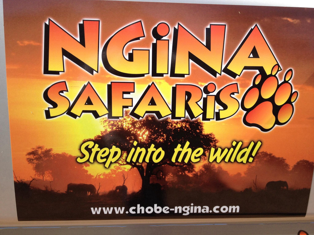 Ngina Safaris景点图片