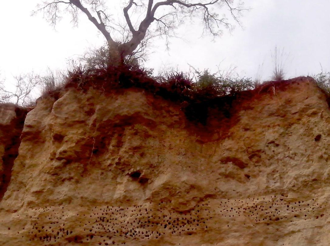 Upper Nile Safaris-坎帕拉必去景点