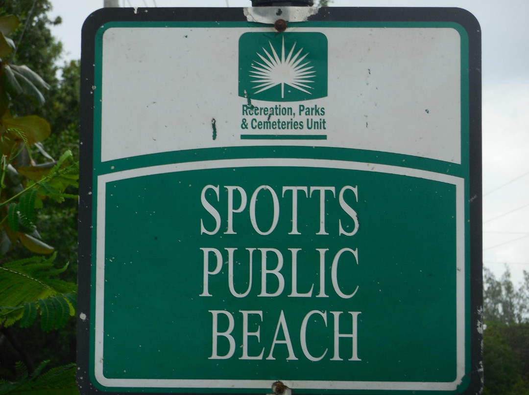 Spotts Beach-大开曼岛必去景点