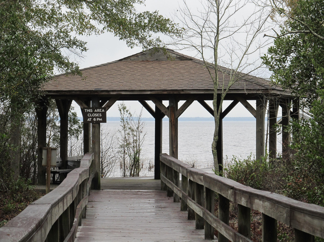 Lake Waccamaw State Park景点图片