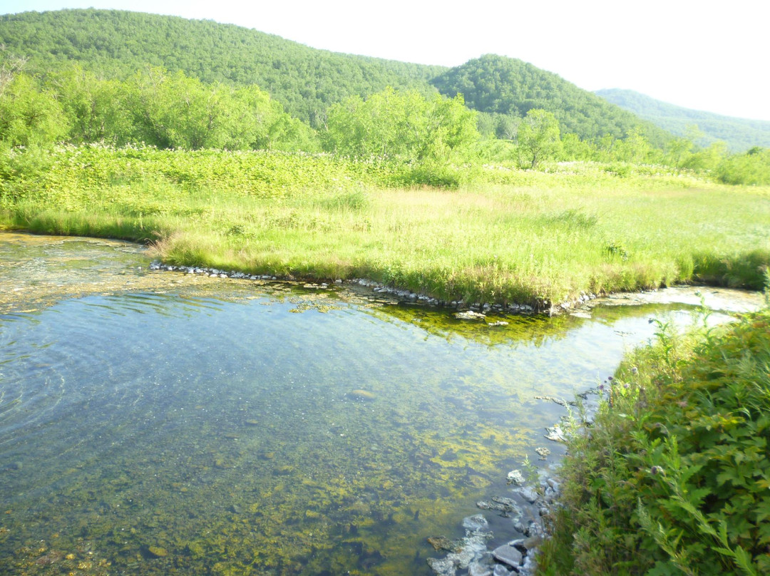 Nalychevo Nature Park-Yelizovo必去景点
