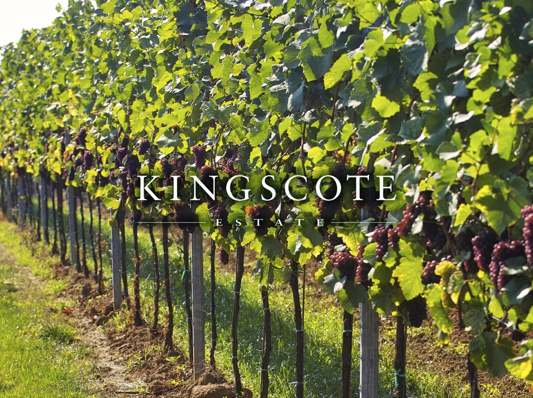 Kingscote Estate and Vineyard景点图片