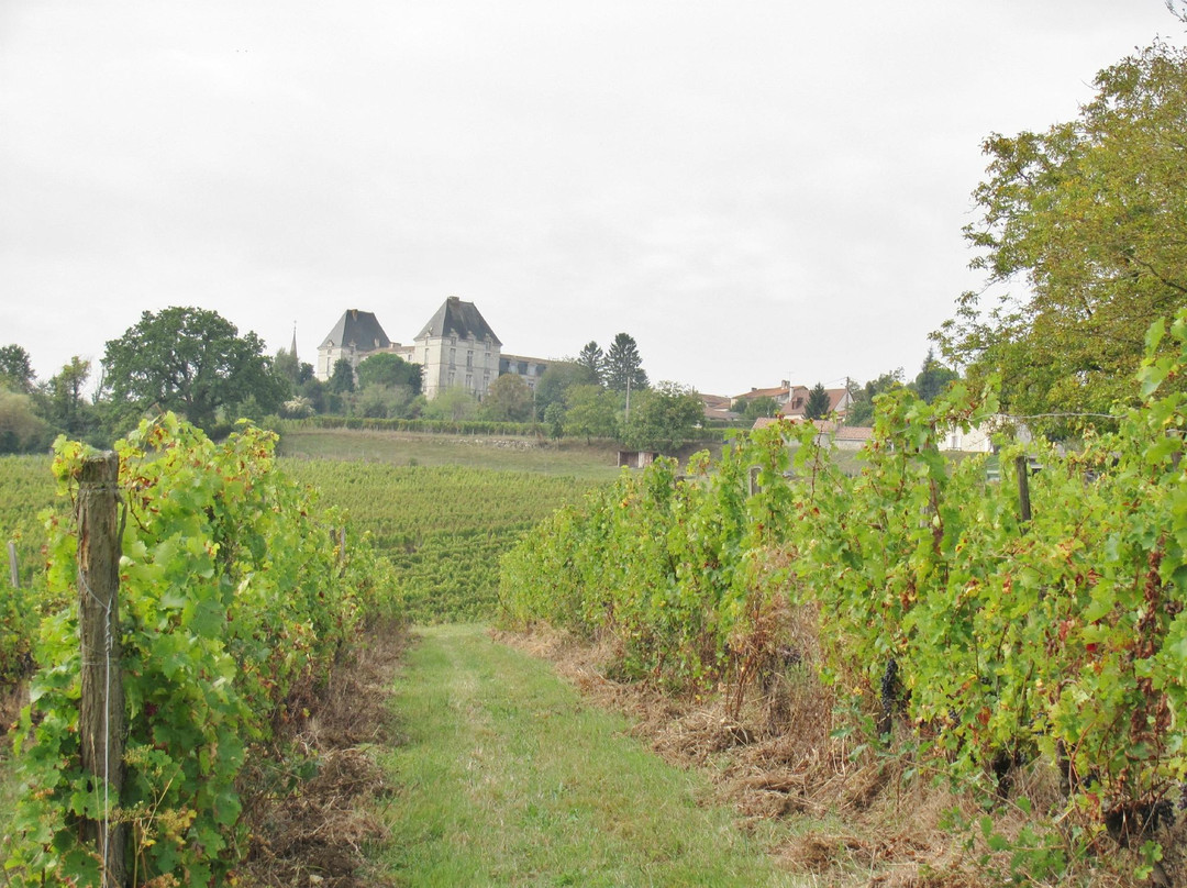 French Wine Adventures景点图片