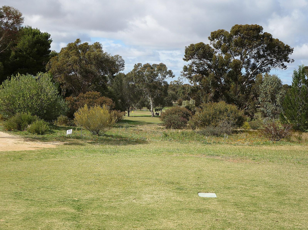 Loxton Golf Club景点图片
