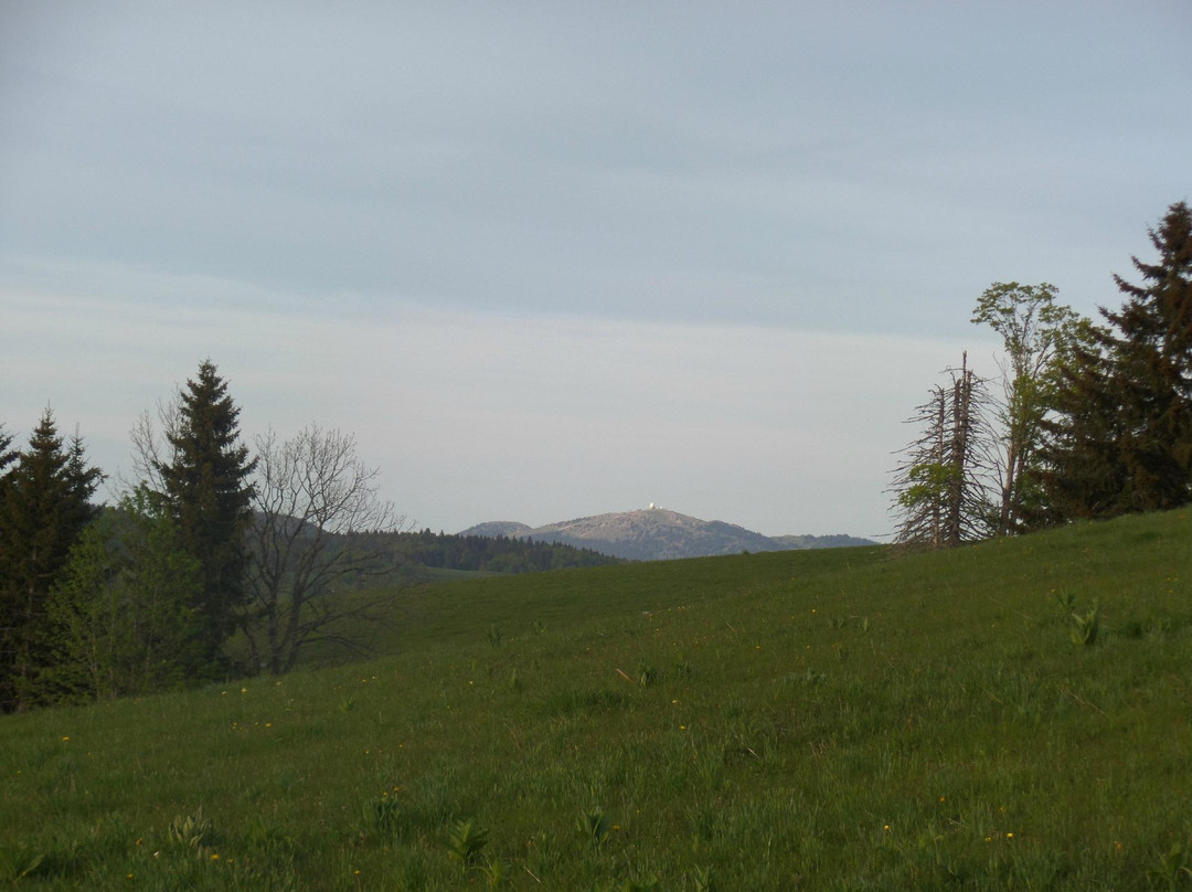 Hotel Le Trappeur主图