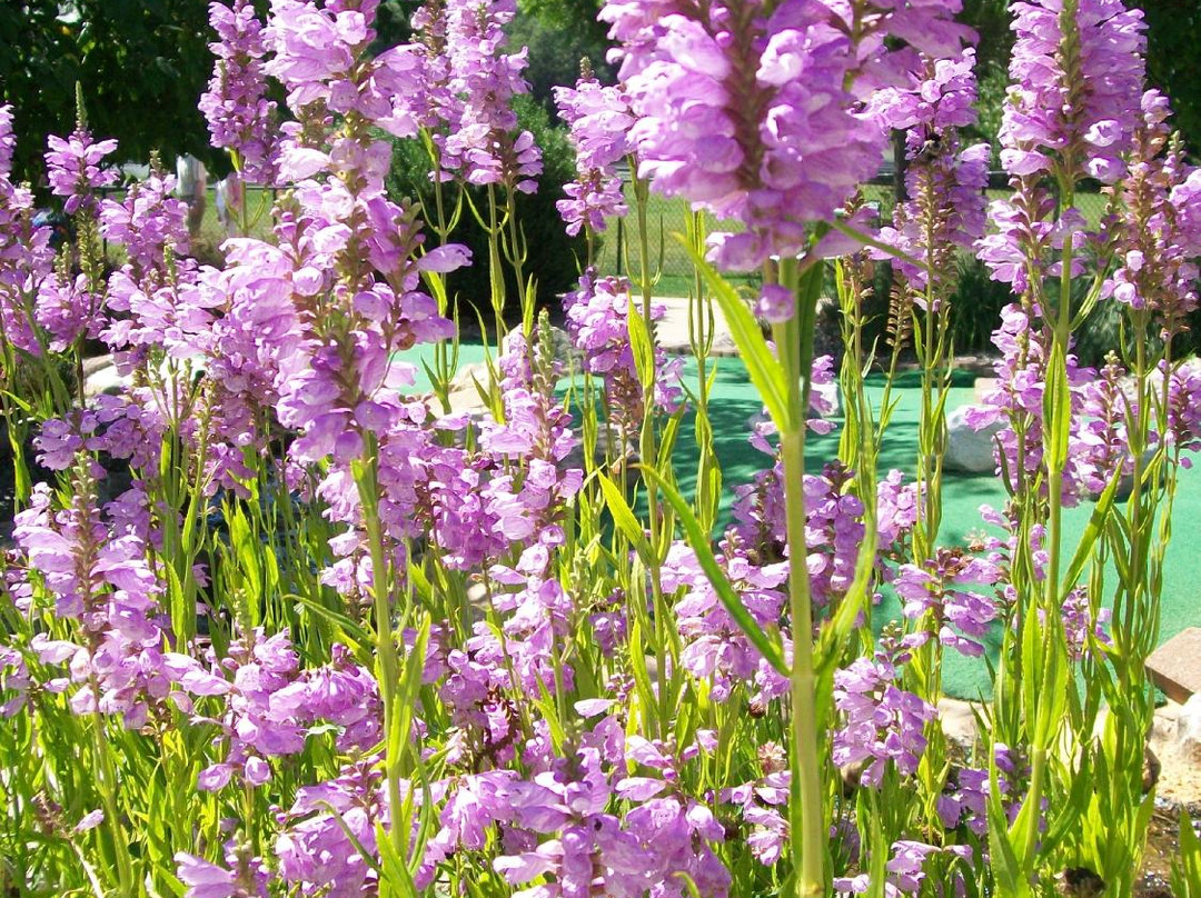 West End Creamery-Whitinsville必去景点