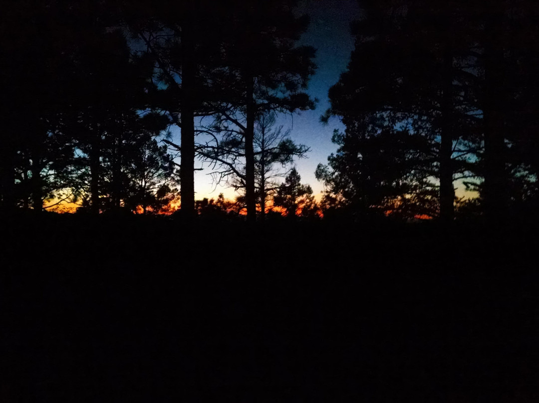 Osha Trail-Cloudcroft必去景点