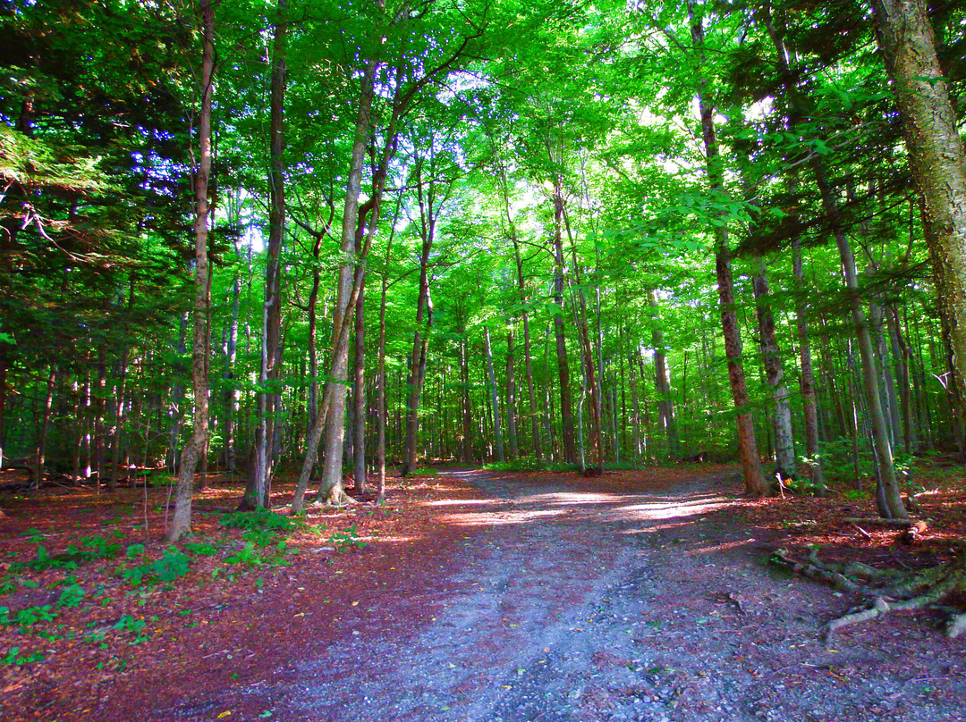 Park–McCullough Historic House-本宁顿必去景点
