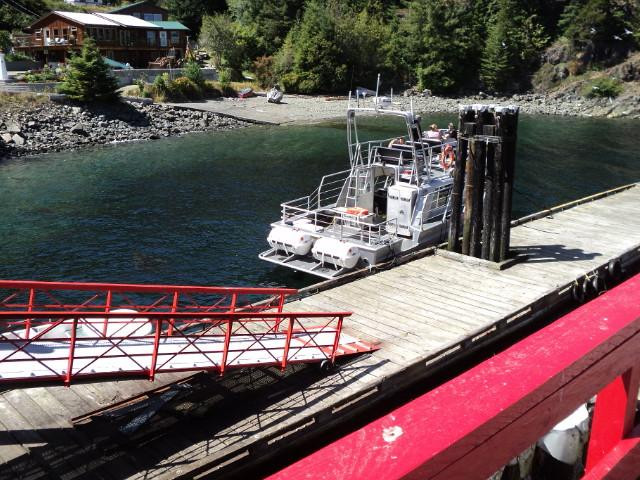 Discovery Marine Safaris Ltd.-坎贝尔里弗必去景点