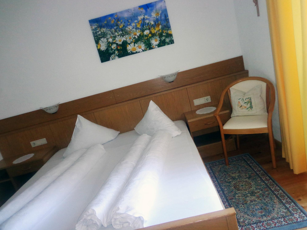 Hotel Restaurant Zum Falken主图