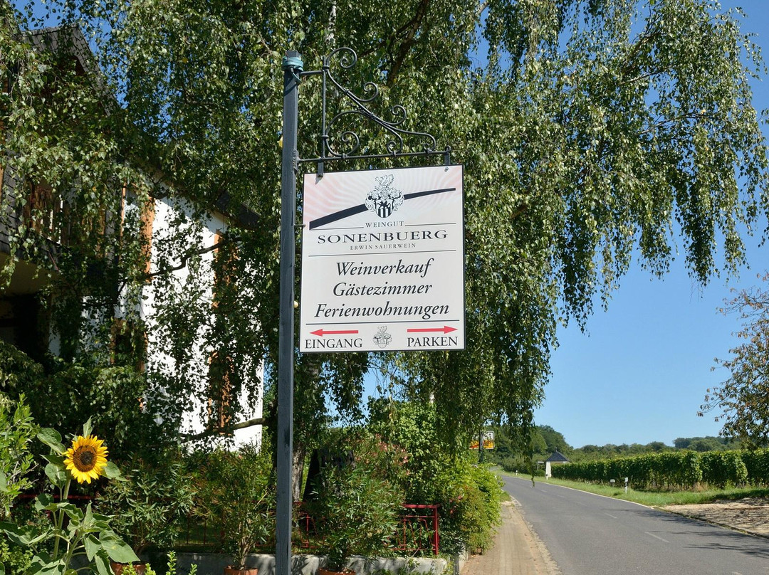 Remich酒店住宿-Weingut Sonenbuerg