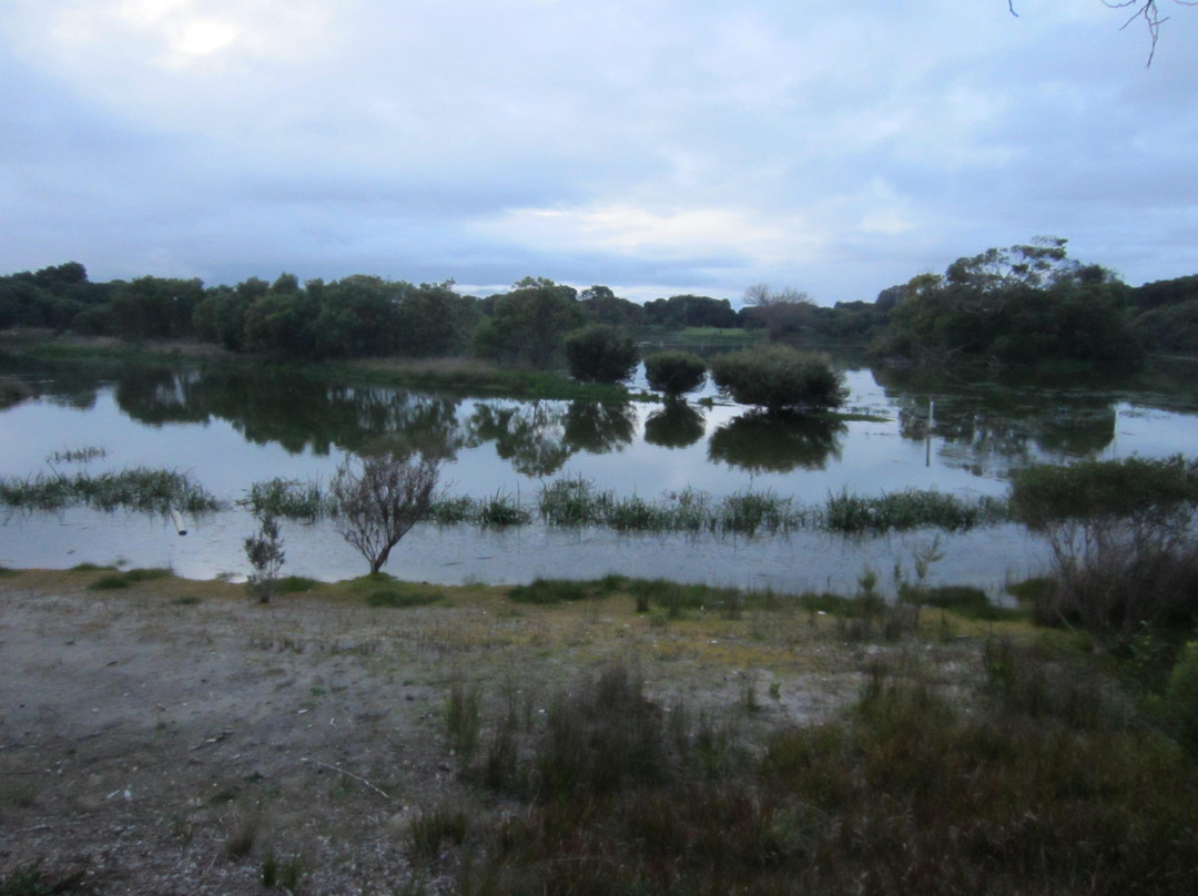 Lake McIntyre-Millicent必去景点
