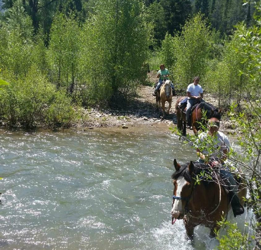 Jackson Hole Pack Trips and Trail Rides-杰克逊必去景点