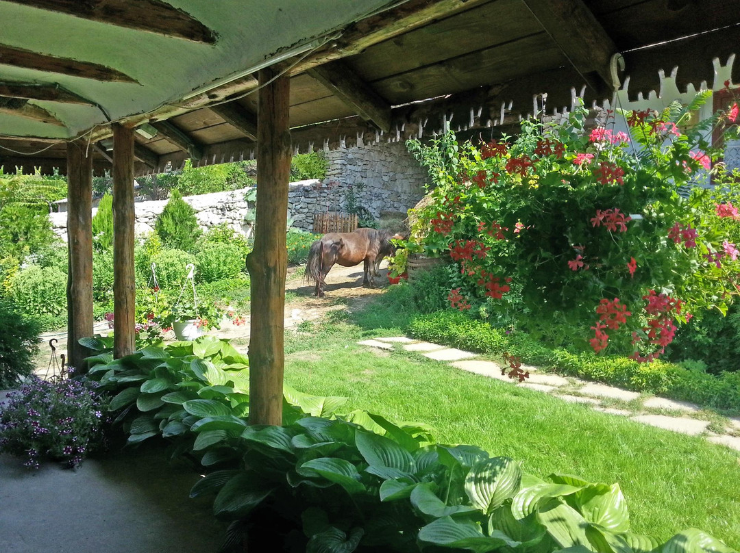 Agru Pensiunea主图